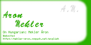 aron mekler business card